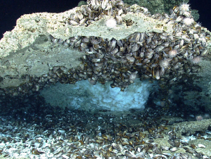 clathrate.jpg