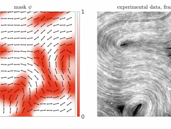 Left, a graphic showing microtubules orienting themselves in the experiment. Right, a screenshot of microtubules at the oil-water interface. Graphic by Roman Grigoriev.png