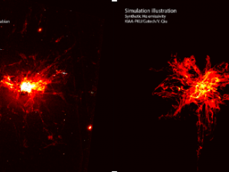 Comparison of the Hubble Space Telescope observation of the filaments in the Perseus cluster (left) with the Yu Qiu research team's thermal energy illustration of the simulated cluster (right). 